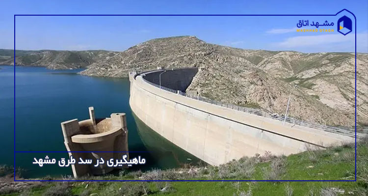 ماهیگیری در سد طرق مشهد